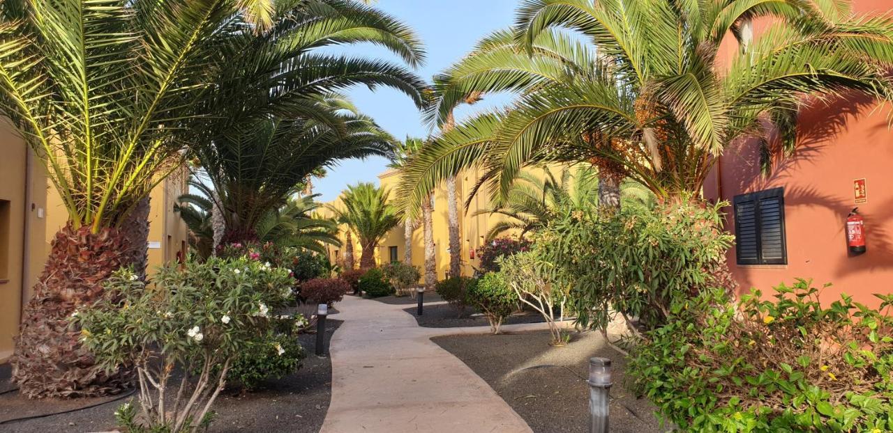 Apartmán Tamarindo I Piscinas De Agua Salada Corralejo Exteriér fotografie