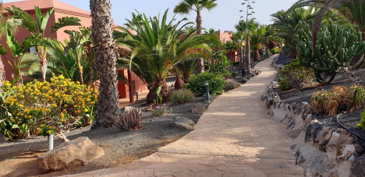 Apartmán Tamarindo I Piscinas De Agua Salada Corralejo Exteriér fotografie